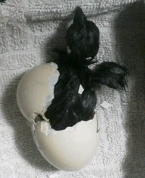 �N���b�N�ŉ摜�g��